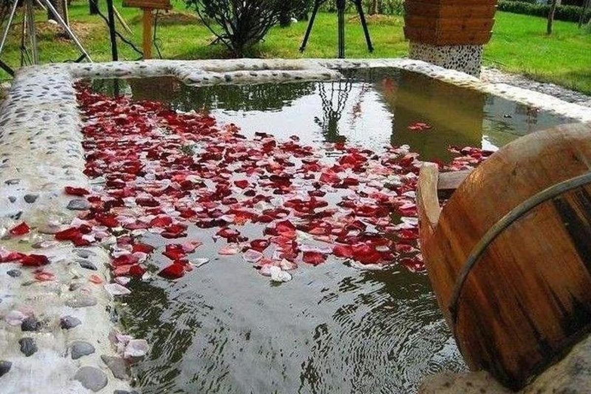 a pond filled with pink and red flowers