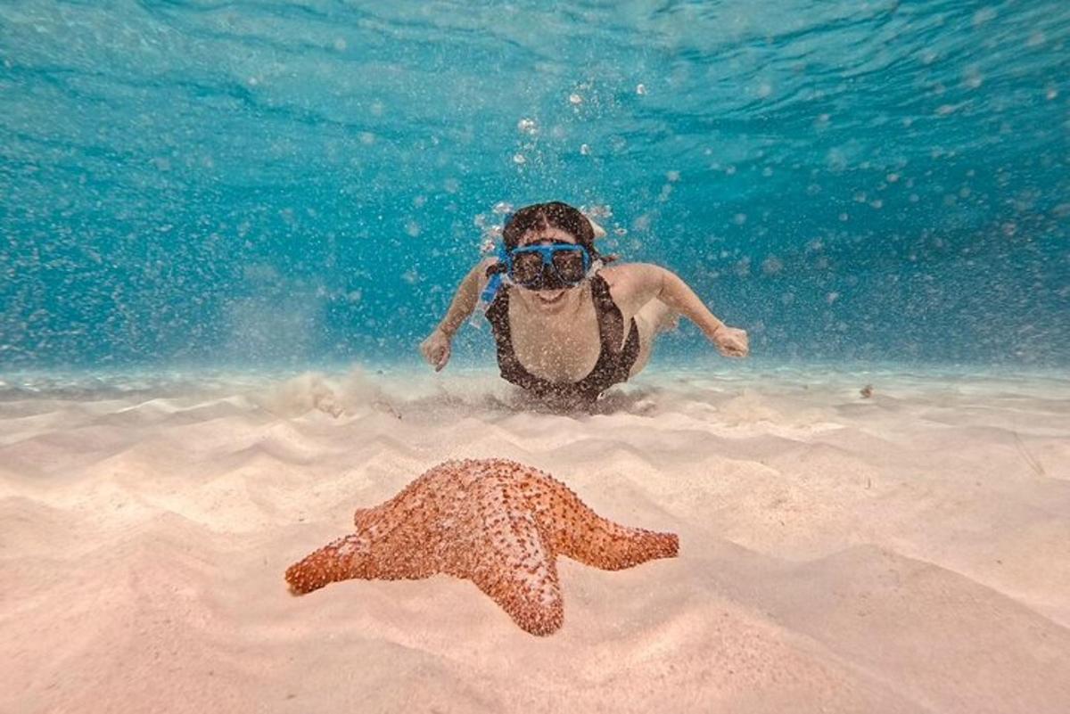 una persona che nuota nell'acqua con una stella marina