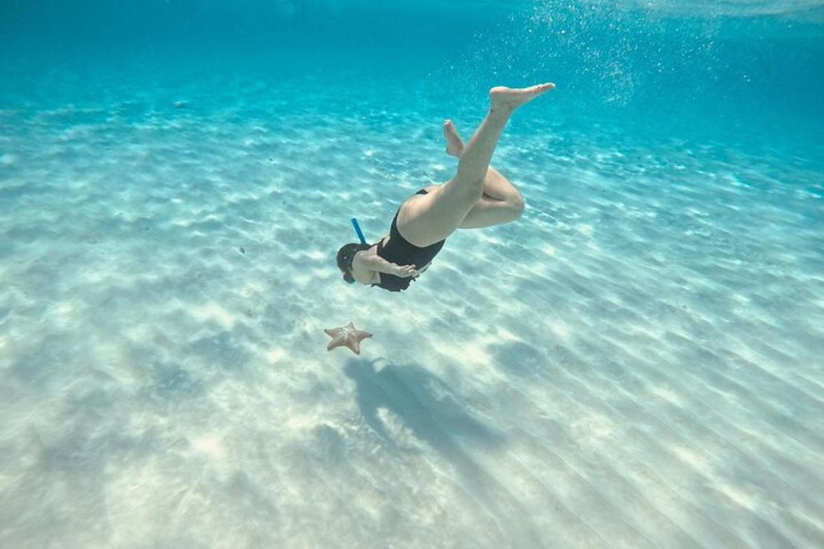 una persona sdraiata nell'acqua accanto a una stella marina
