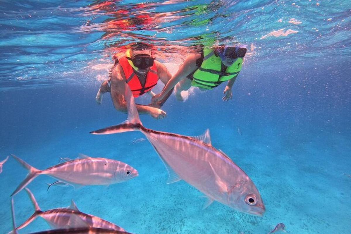 due persone stanno nuotando nell'acqua con i pesci