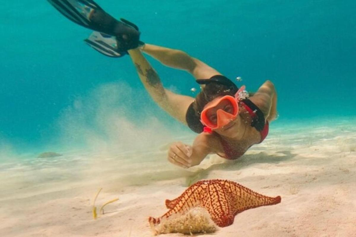 una donna che si tuffa in acqua accanto a una stella marina