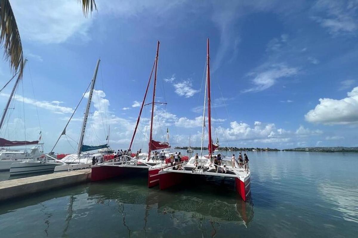 isang grupo ng mga bangka ang dumaong sa isang pantalan sa tubig