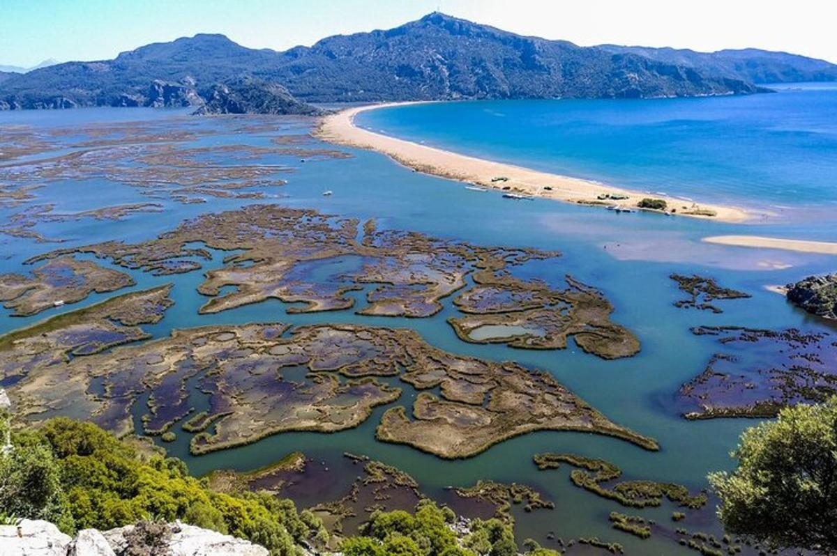 una vista aerea di una spiaggia e dell'oceano