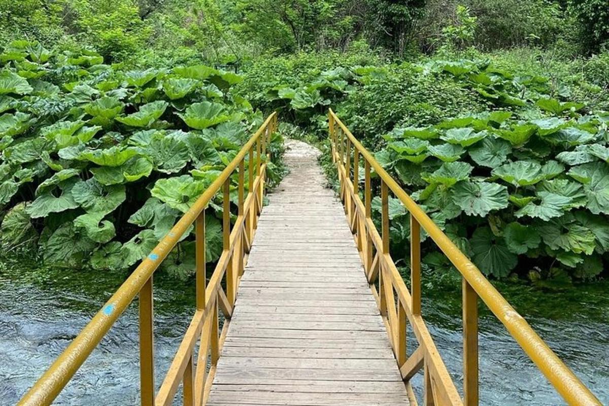 Turistik nokta fotoğrafı 3