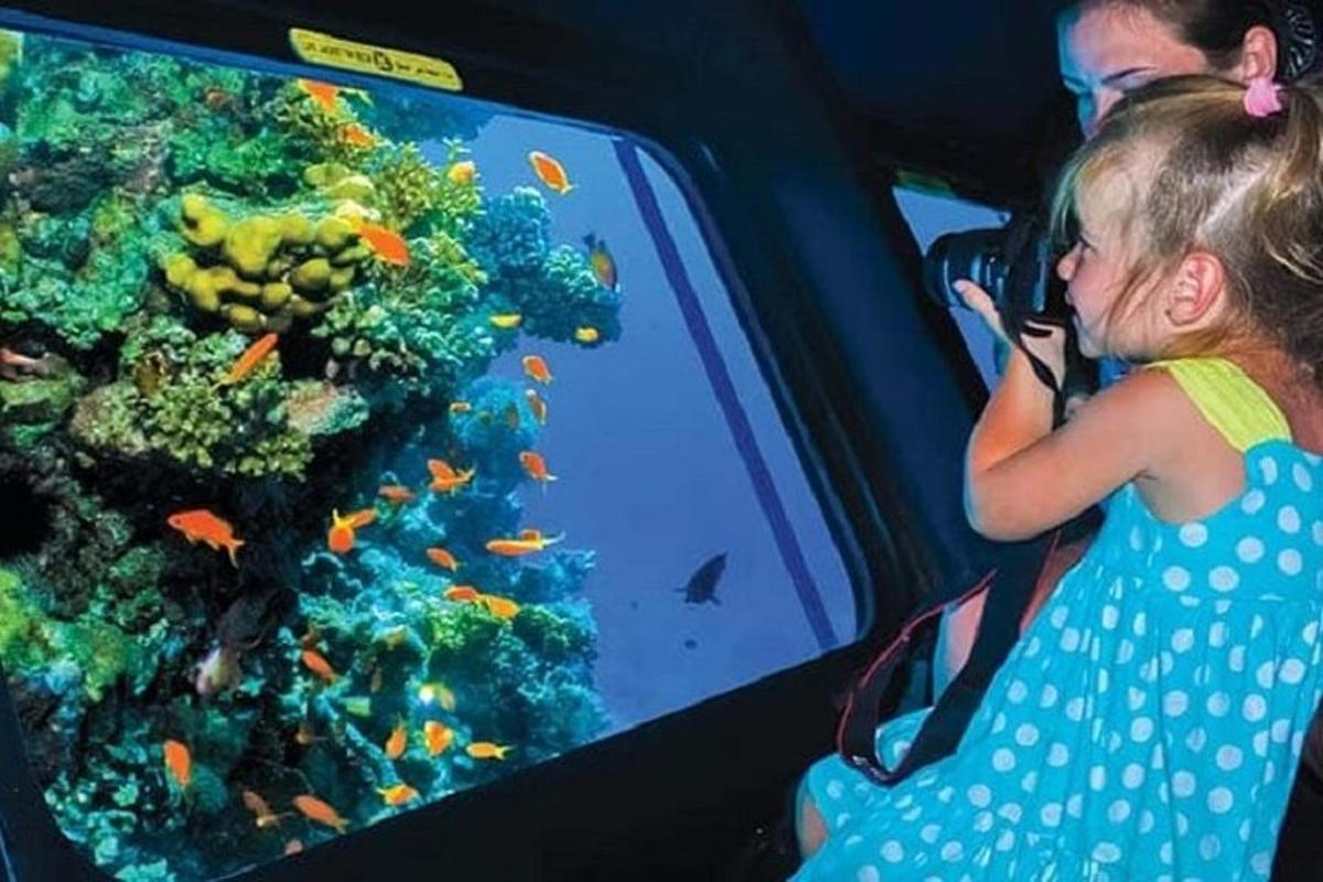una nena petita asseguda en un seient mirant un aquari