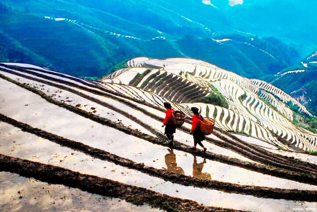 due persone che camminano su una risaia terrazzata