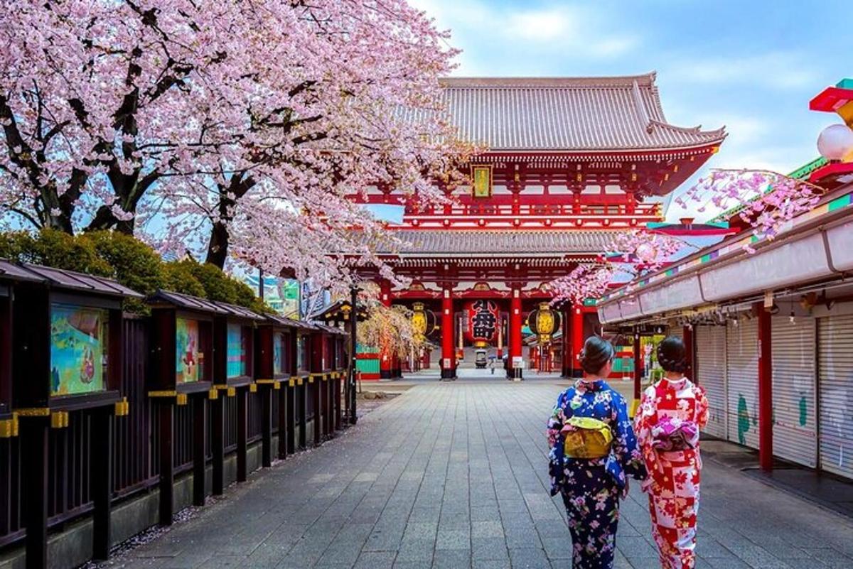 kimono giymiş iki kadın akura ağaçlarıyla dolu bir sokakta yürüyor