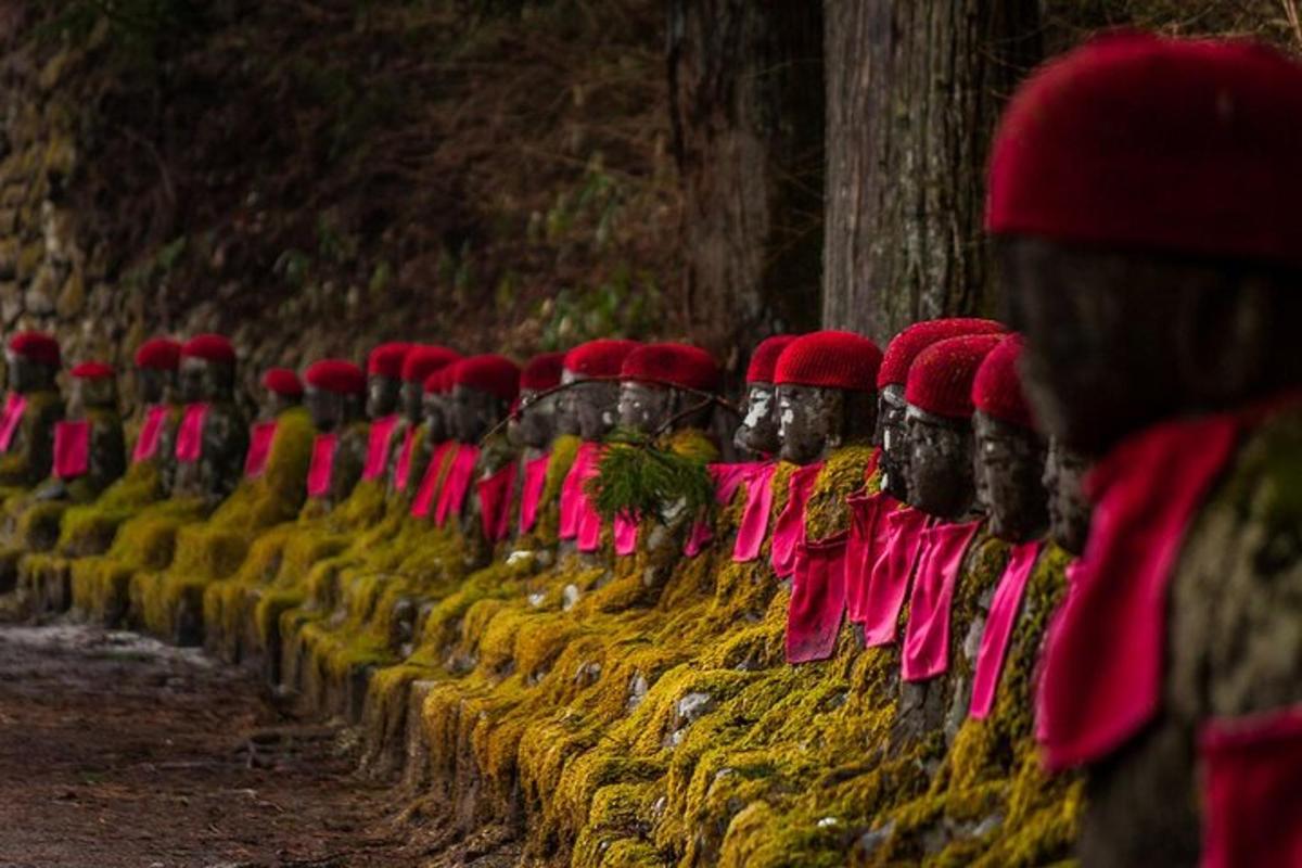 una fila di tronchi allineati su un muro