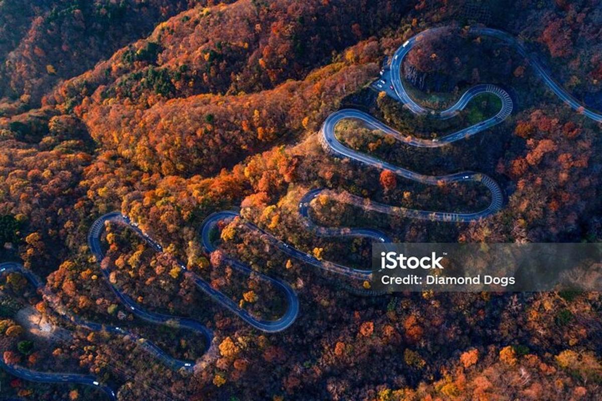 una vista aerea di una strada tortuosa in una foresta