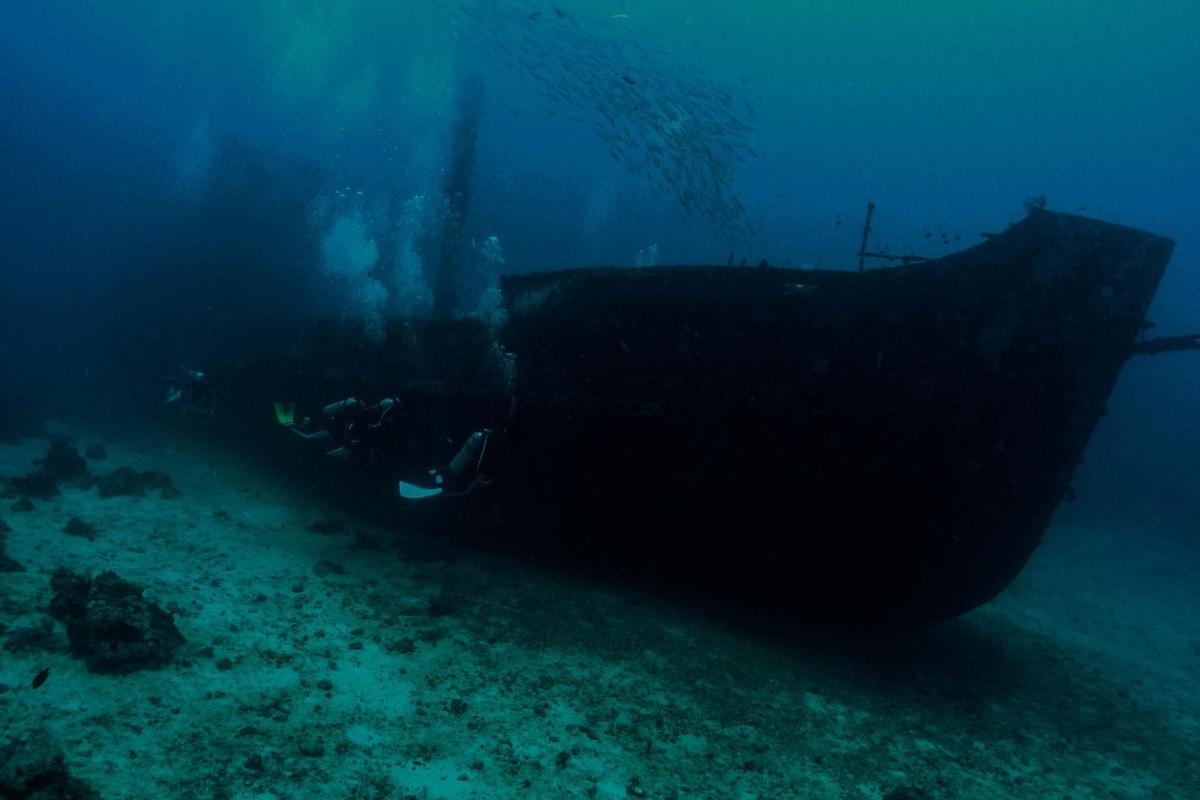 Lankytinos vietos ar pramogos nuotrauka numeris 6