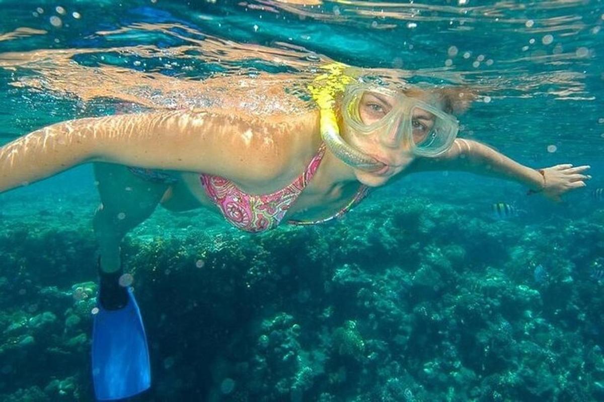seorang wanita berenang di dalam air dengan frisbee
