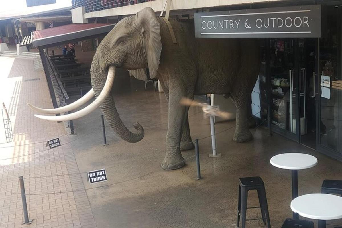 een standbeeld van een olifant voor een winkel