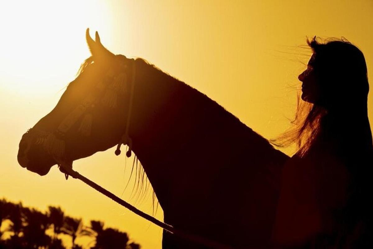 a woman holding a horse in front of the sunset