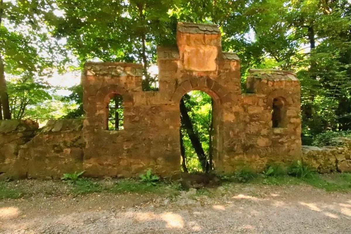 Rallye urbain privé de livres audio sur le Schlossberg de Fribourg – photo 5