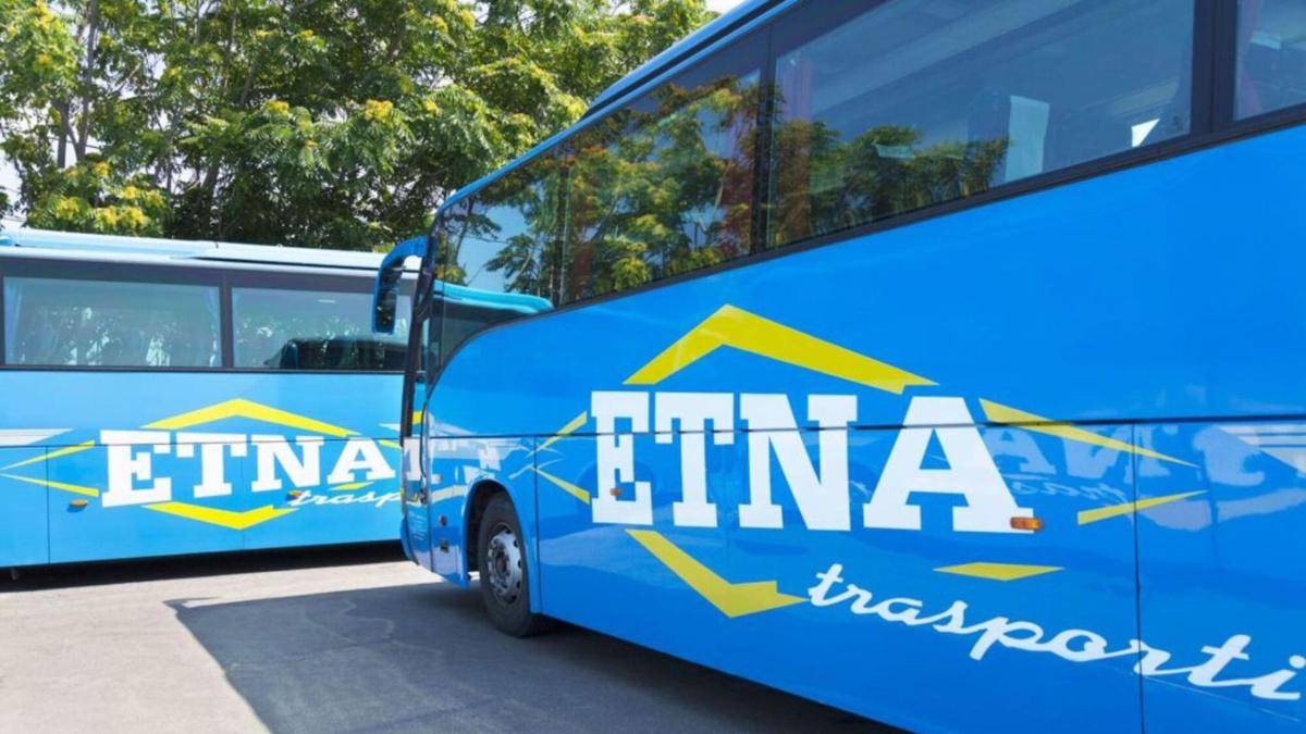 un autobus blu parcheggiato accanto a un altro autobus