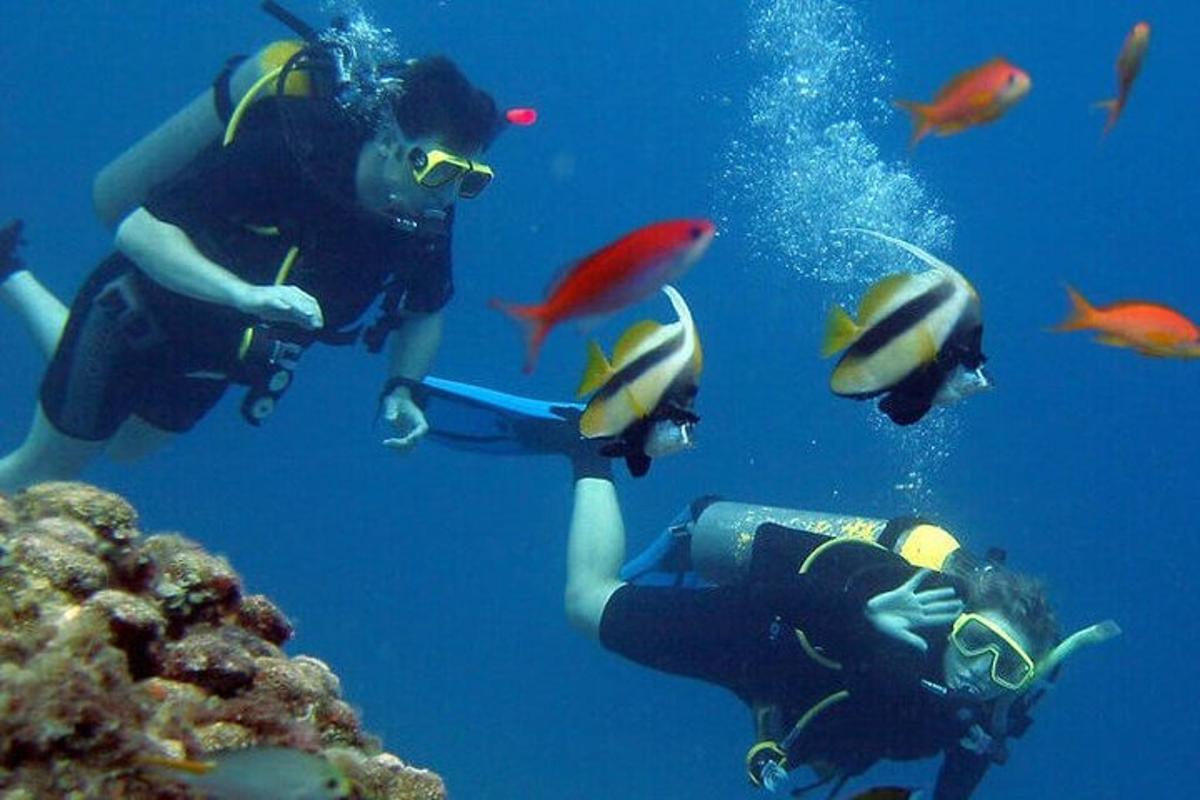 Dos personas en el océano mirando peces