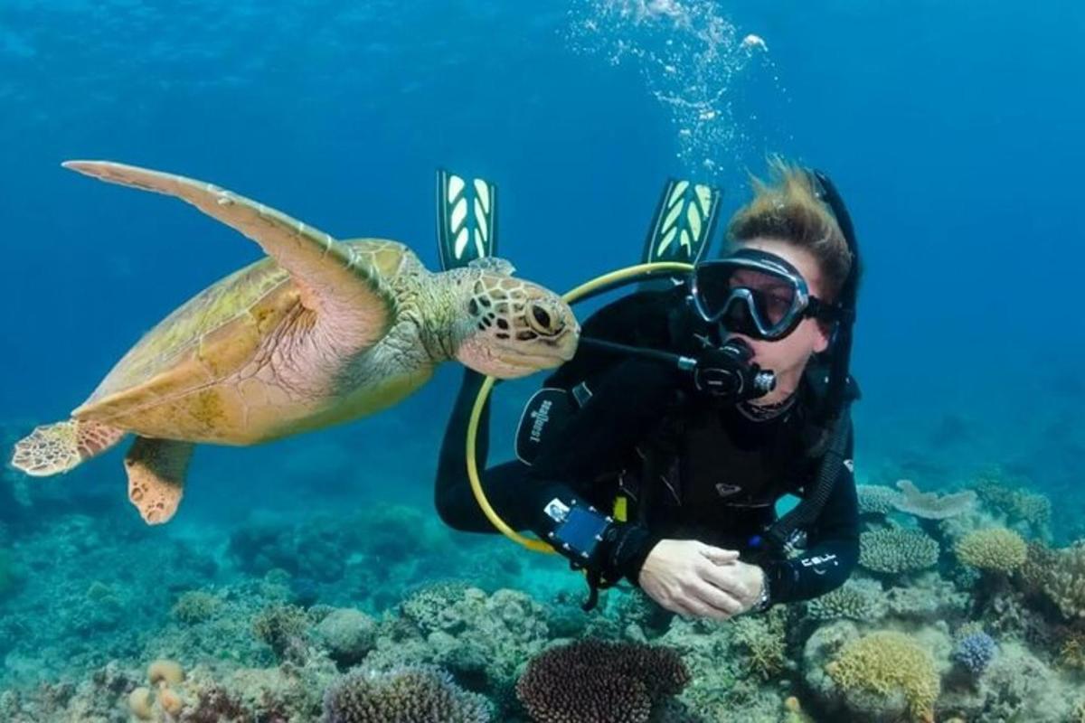 Un hombre con una tortuga nadando en el océano