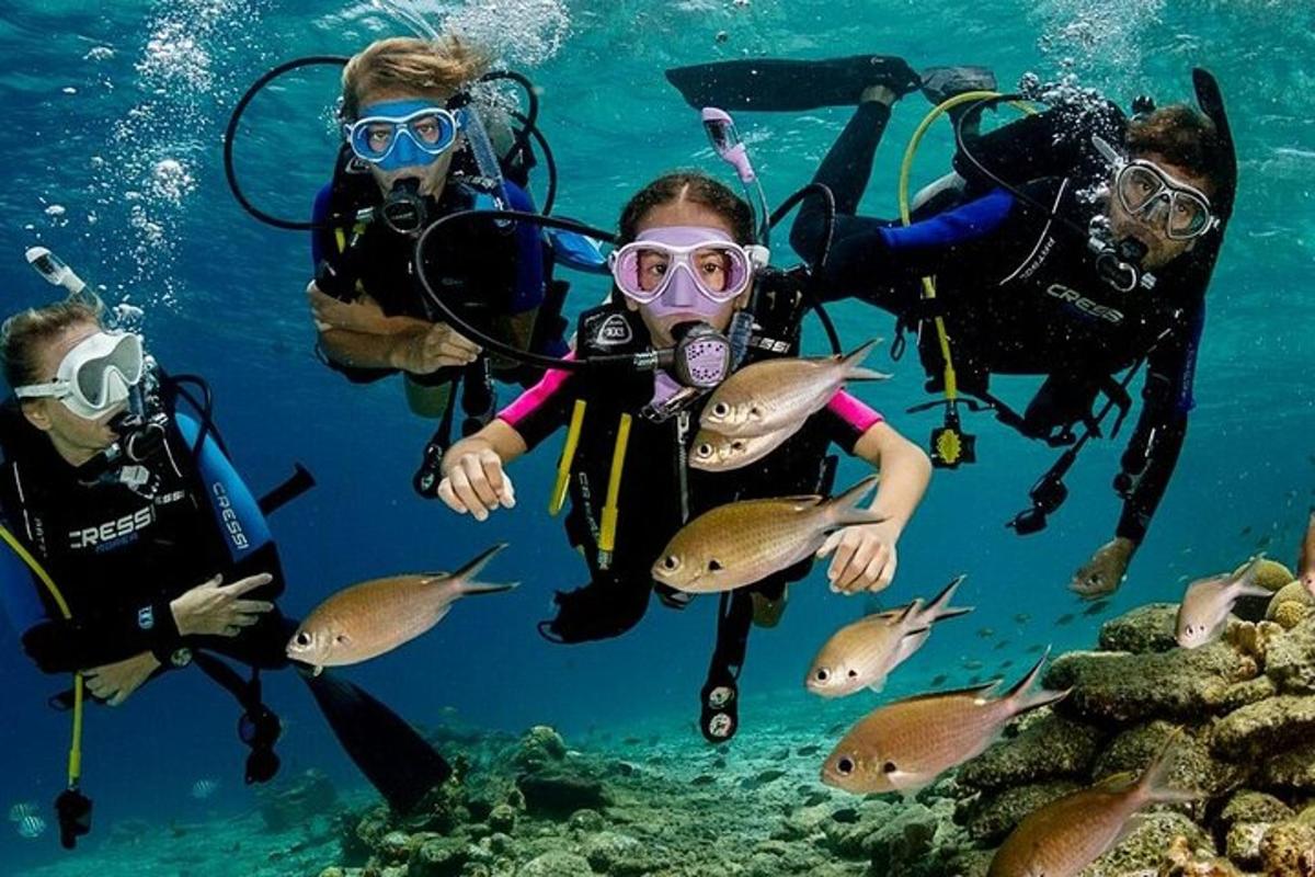Un grupo de personas en el agua con peces.