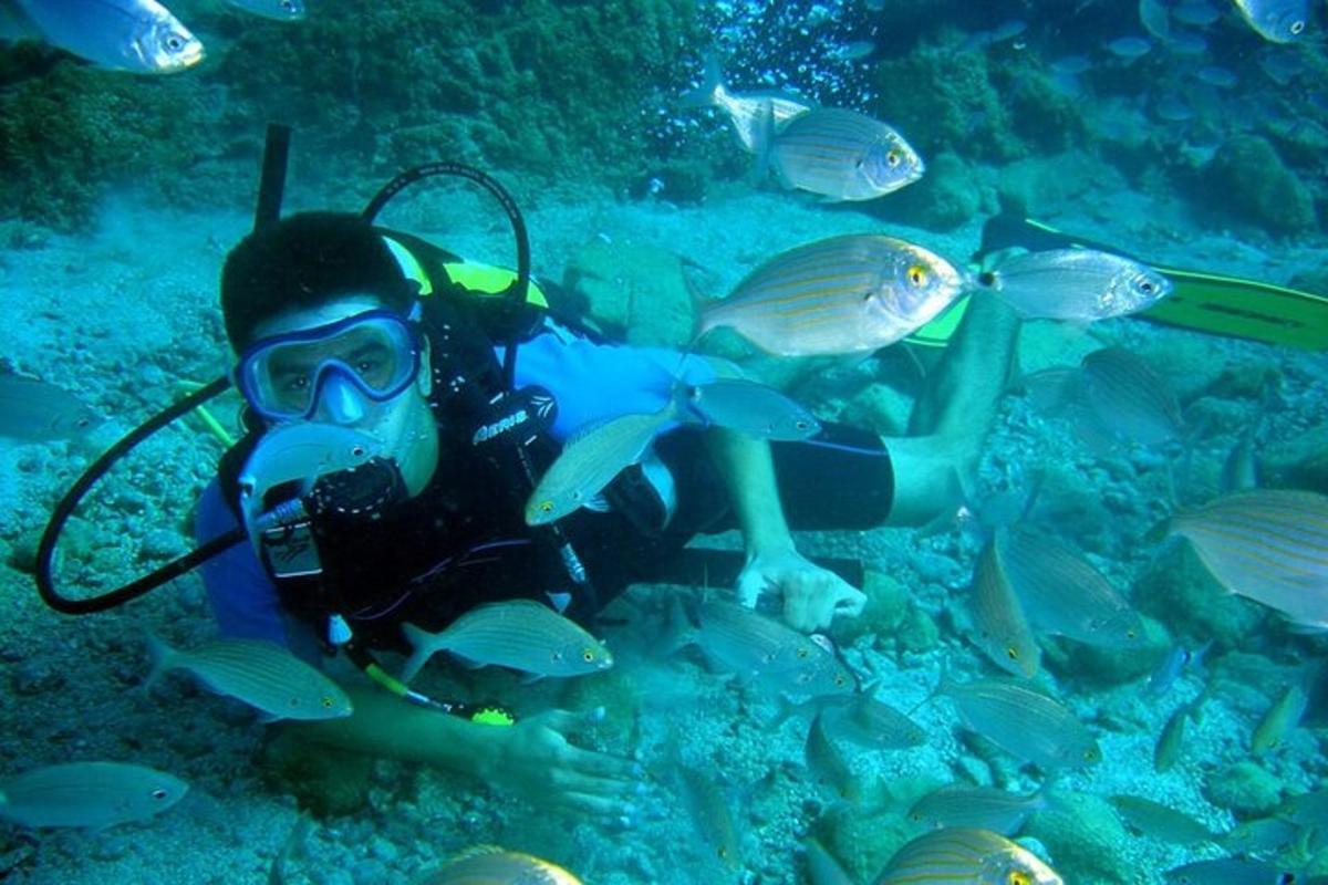 Una persona con una máscara de buceo y algunos peces.