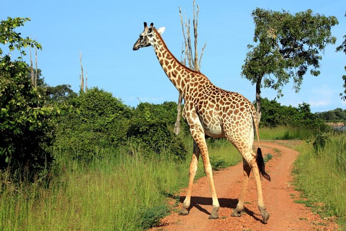 Attraction picture 1
