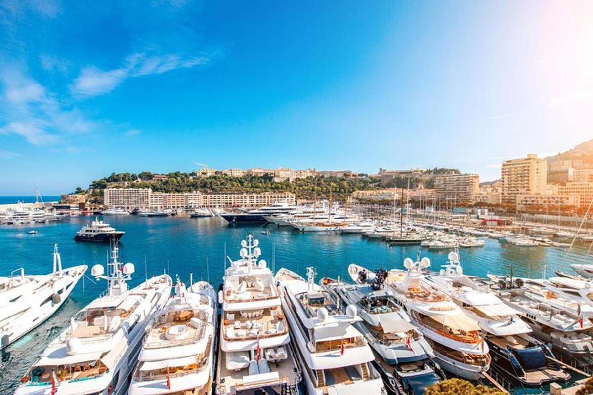a bunch of boats docked in a harbor