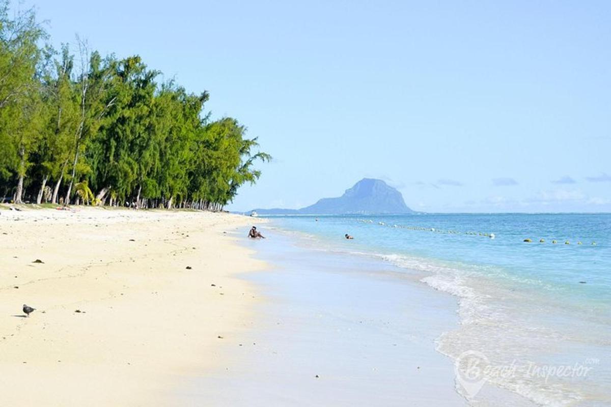 pantai berpasir dengan pokok dan lautan