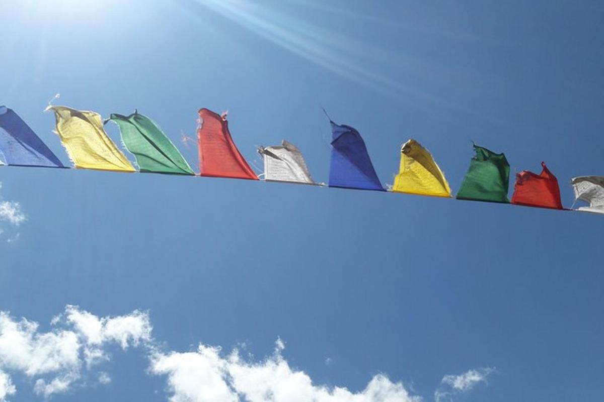 a bunch of colorful kites sitting on top of the sky
