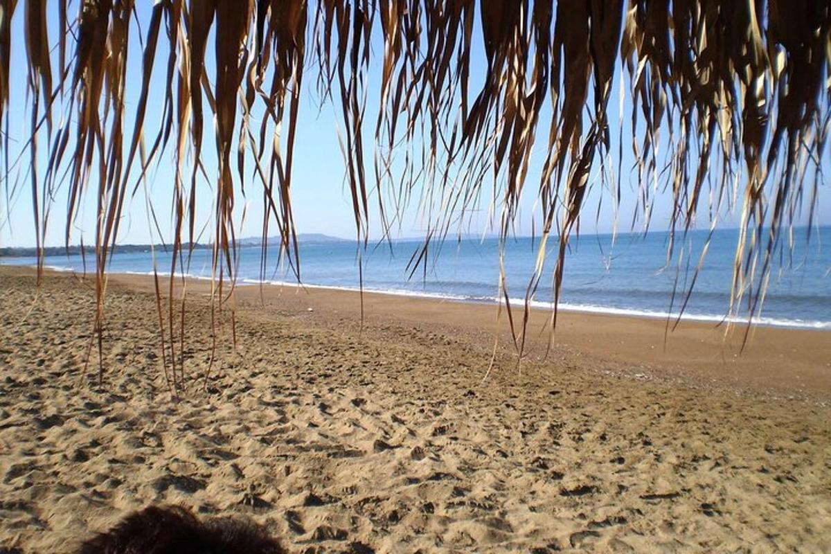 ein Strand mit Strohdach und das Meer