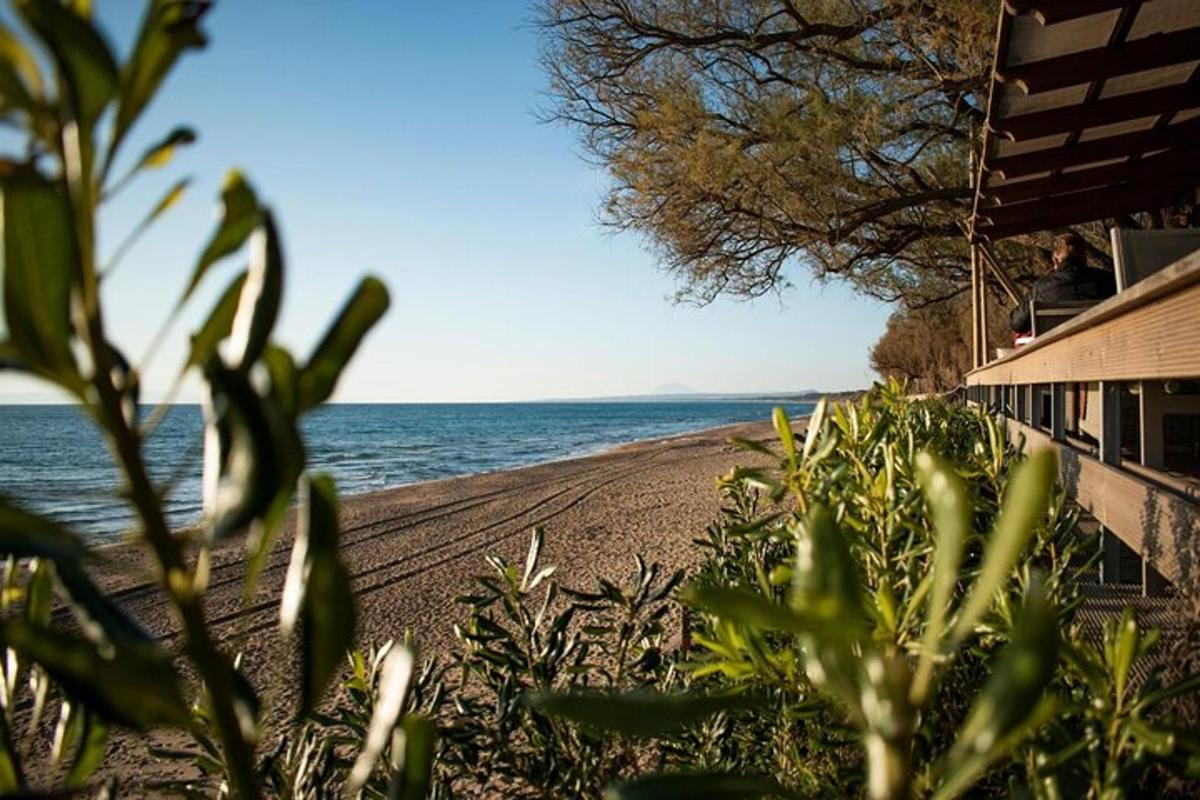 pantai dengan latar belakang rumah dan lautan