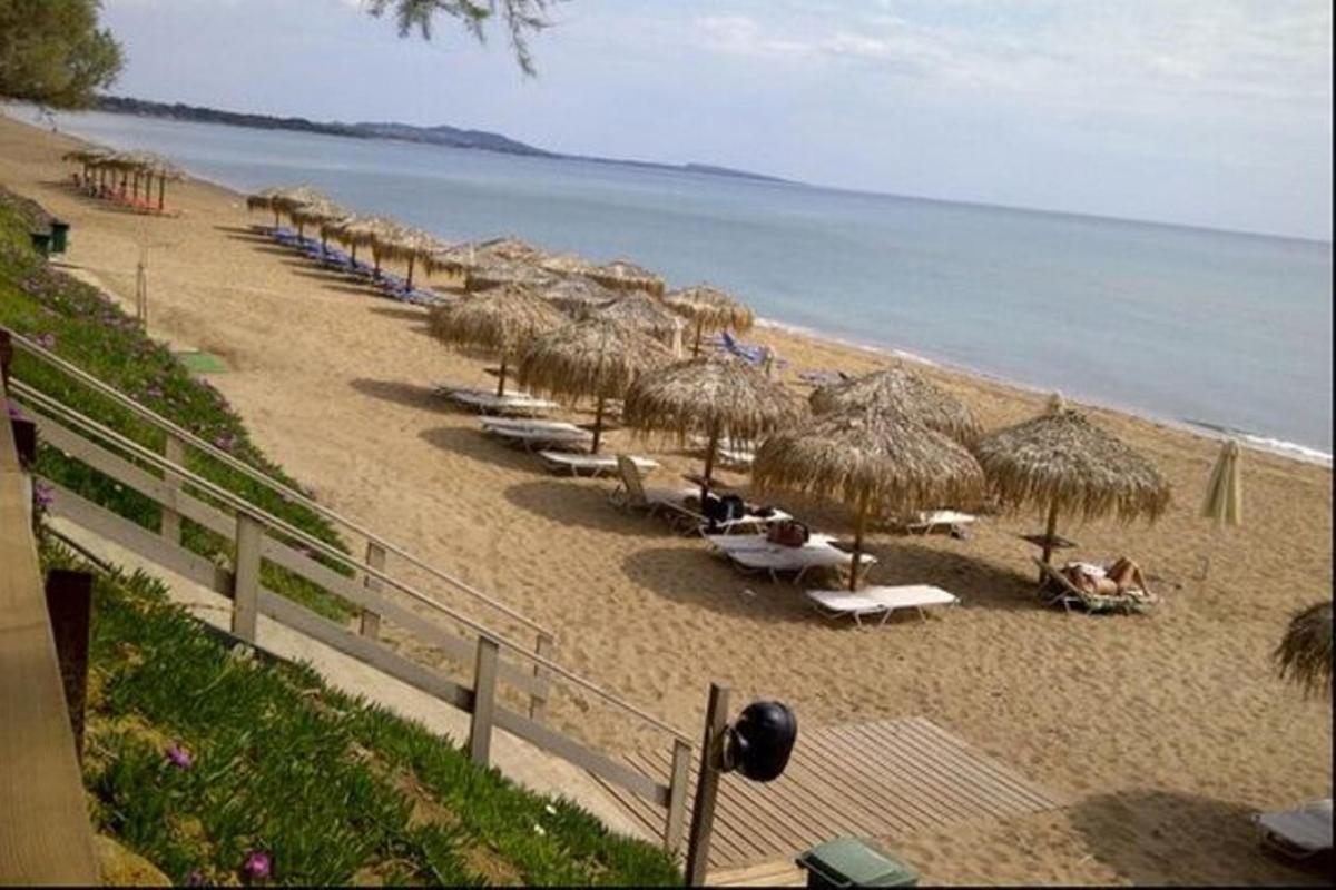 ein Strand mit Stühlen und Strohschirmen und das Meer