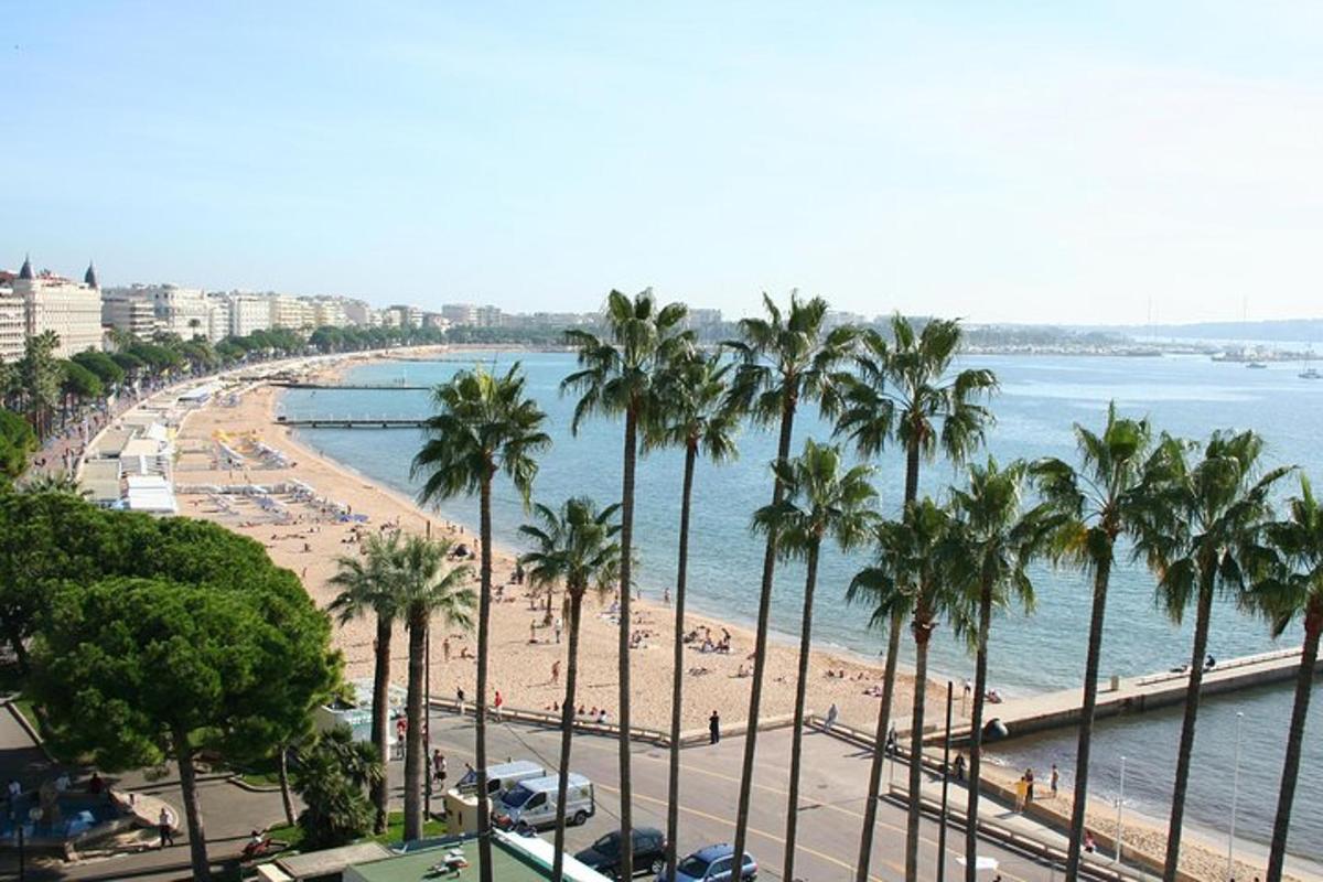 uma vista de uma praia com palmeiras e o oceano