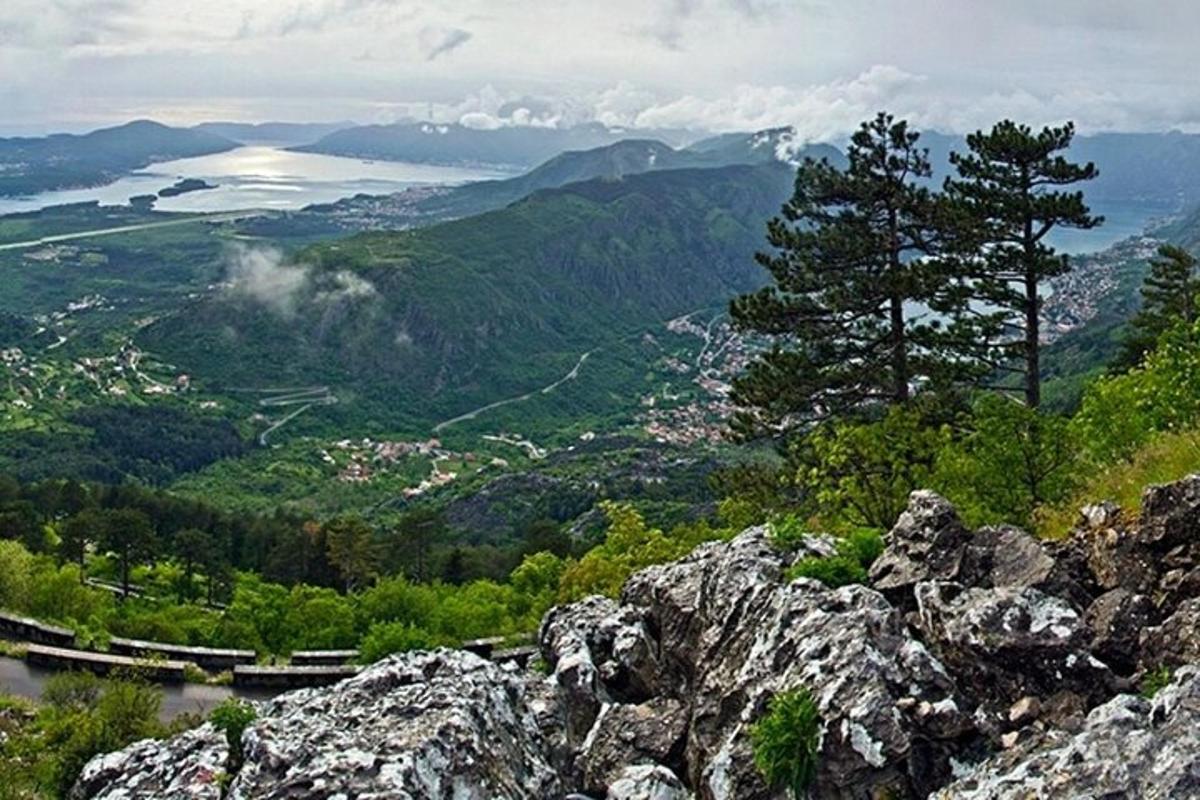 pogled na planinu s drvetom na vrhu