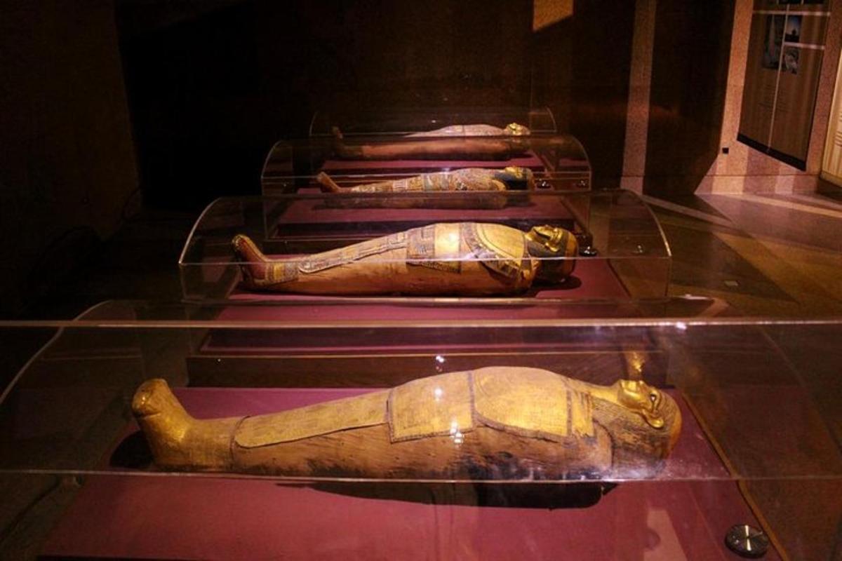 uma exposição de museu com uma estátua de um pássaro em exibição