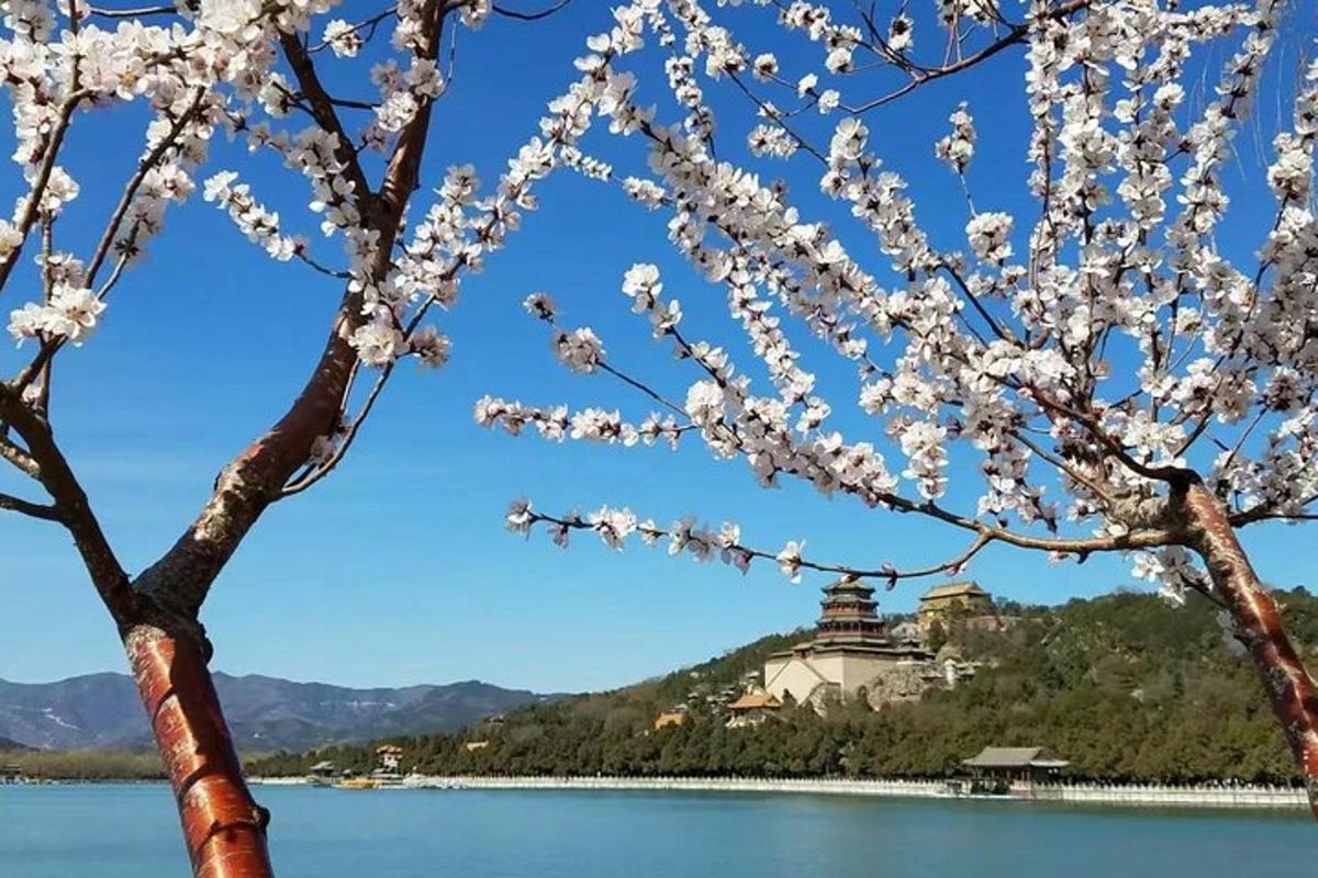Un árbol con flores blancas frente a un lago.