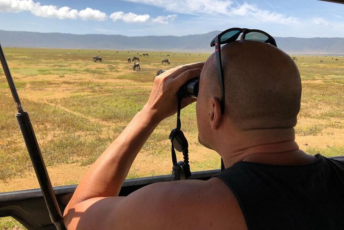 un uomo che parla al cellulare guardando fuori da un safari