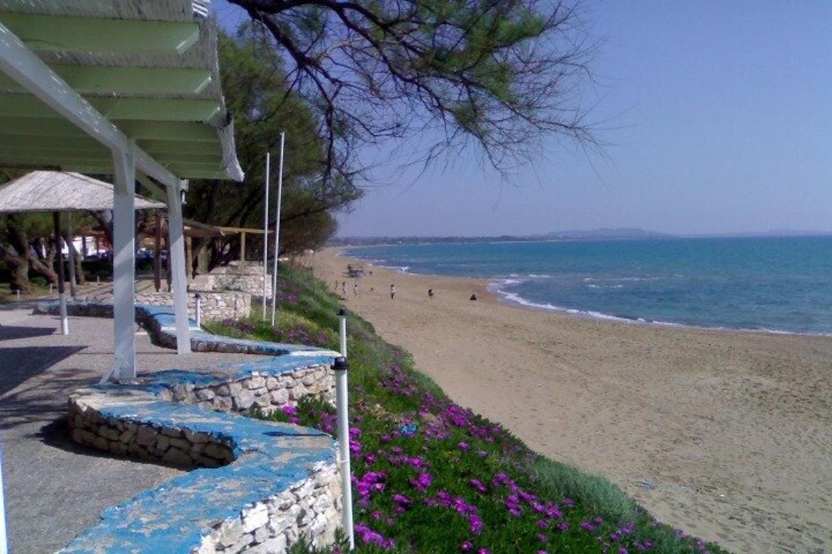 una platja amb un edifici, flors i l'oceà