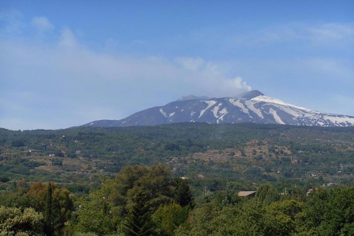 ένα χιονισμένο βουνό στο βάθος με δέντρα