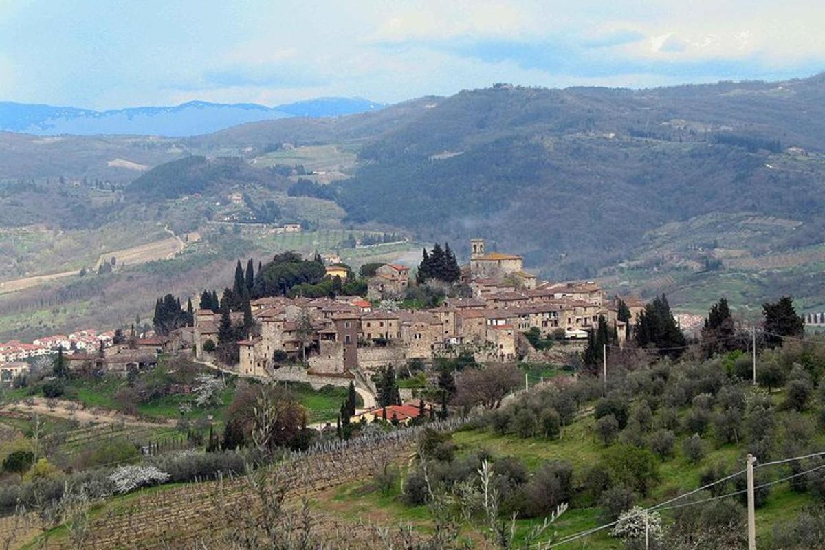 una città su una collina con le montagne sullo sfondo