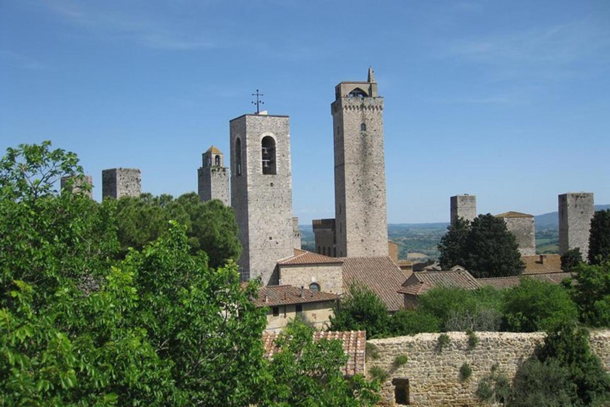 un castello con torri su una collina con alberi