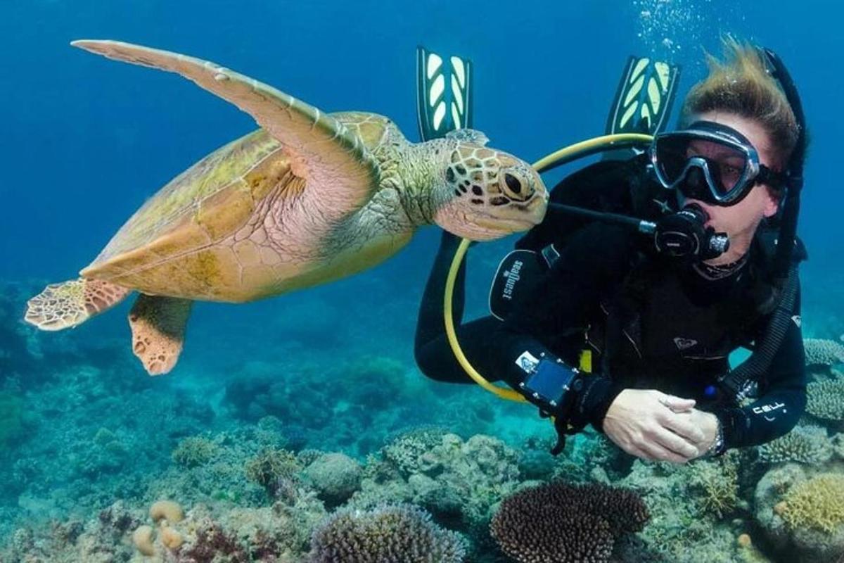 muž fotí želvu na oceánu