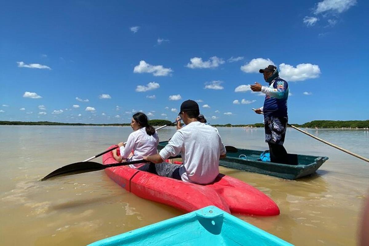 Un grupo de personas sentadas en kayaks en el agua.
