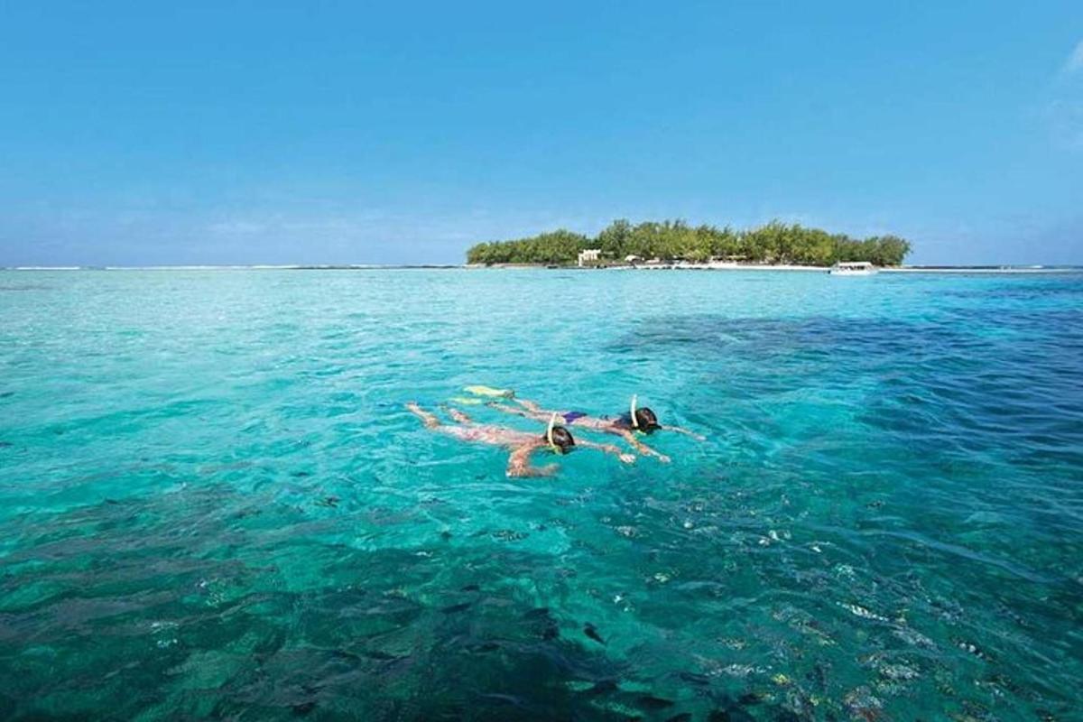 dva lidé plaví v oceánu s ostrovem v pozadí