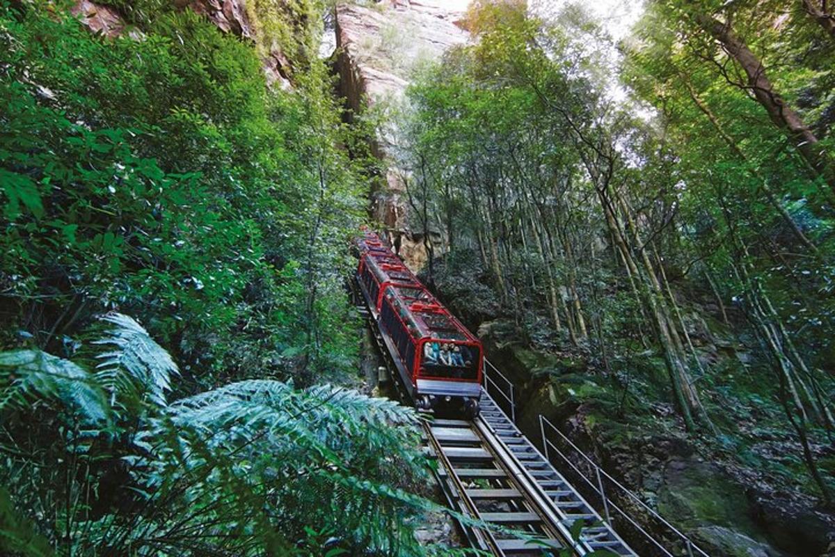a red train on a track in a forest