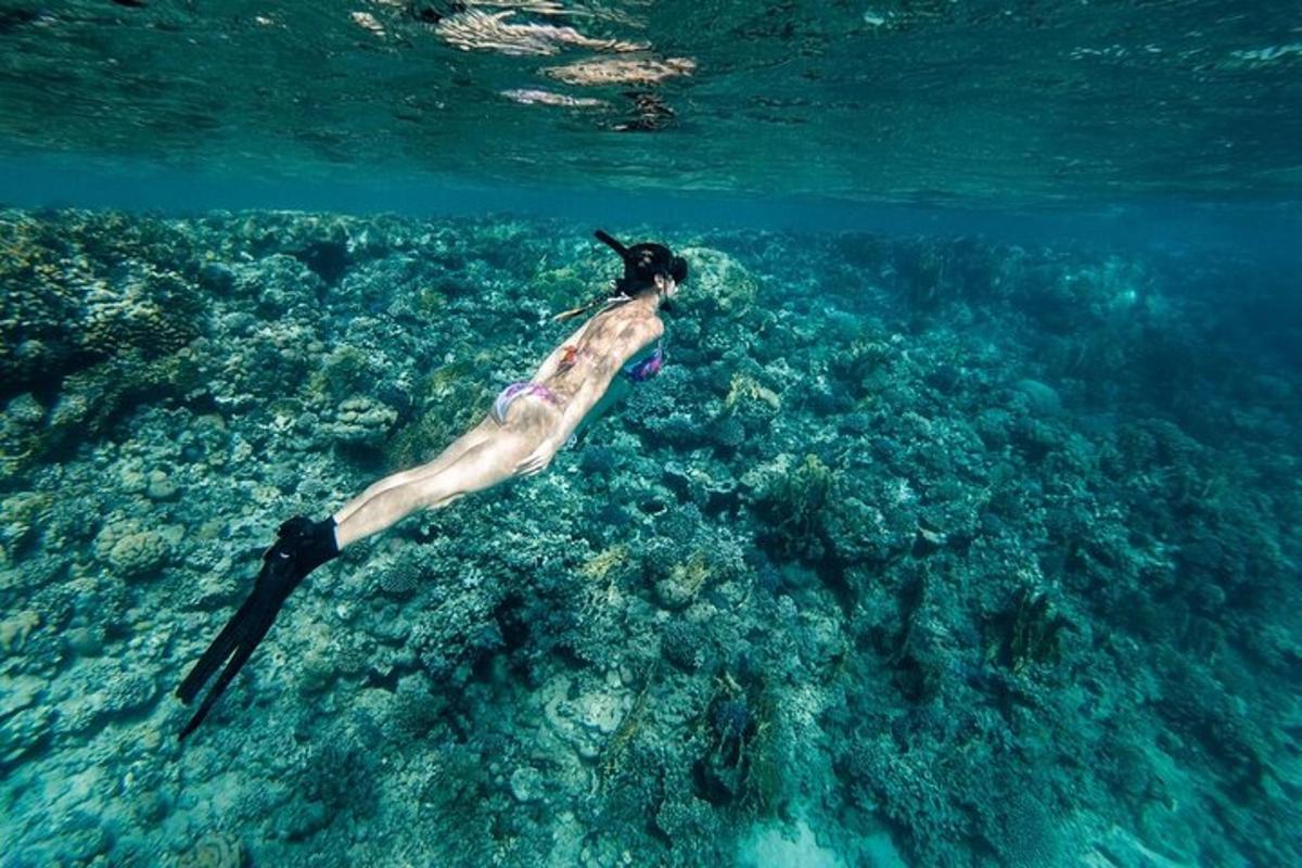 a woman swimming in the ocean over a reef