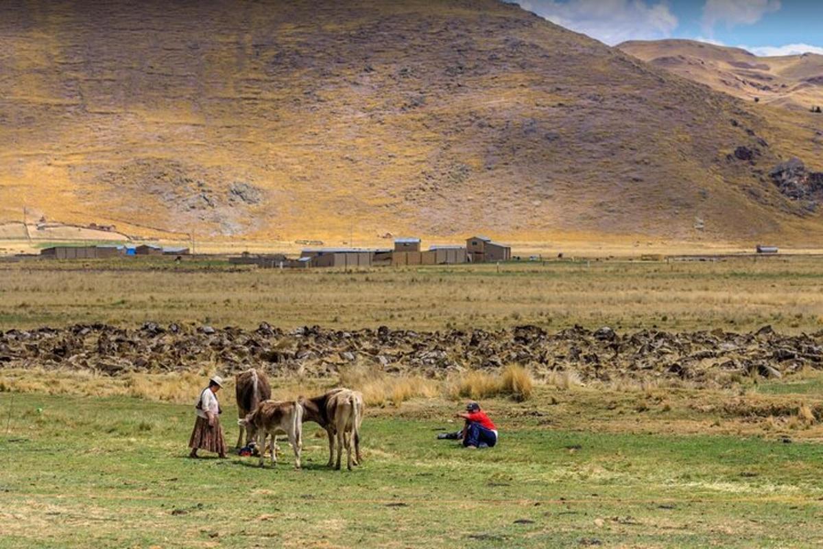 a group of people in a field with horses