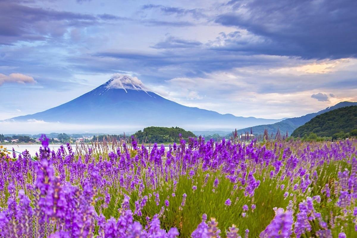 ภาพถ่ายสิ่งที่น่าสนใจภาพที่ 1
