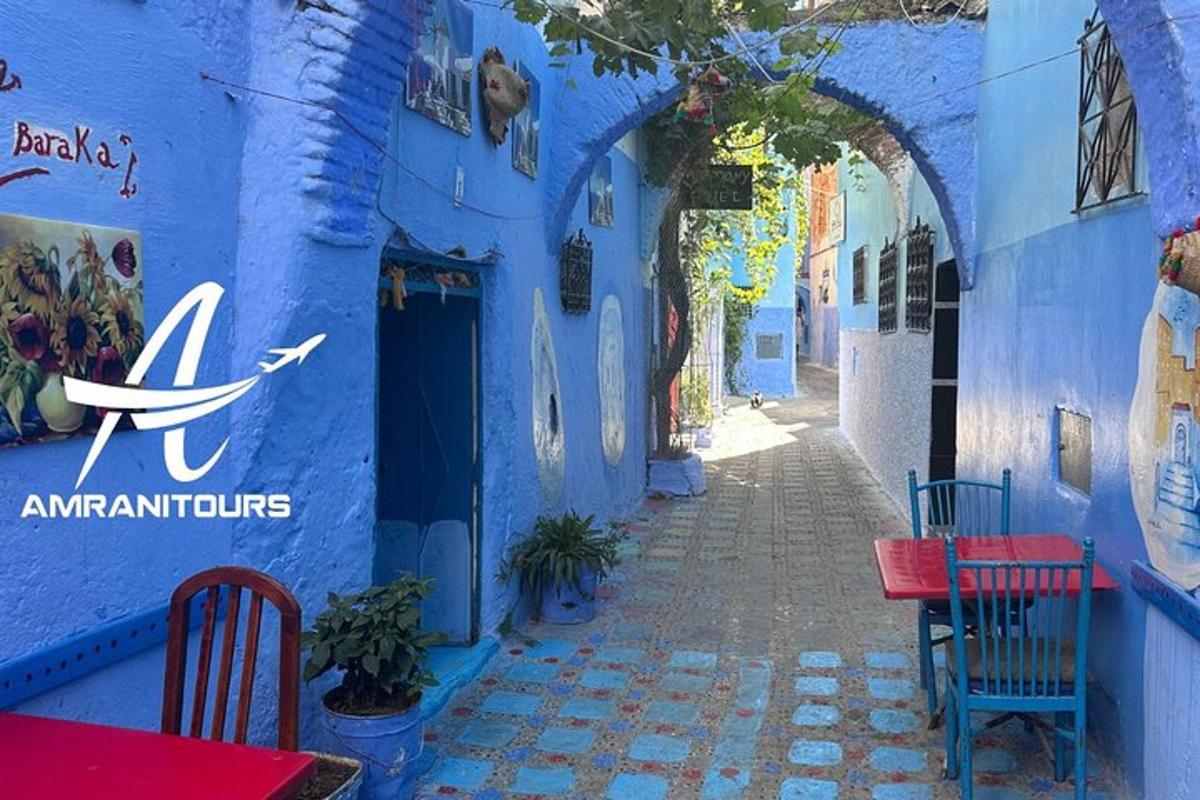 gata í bláu borginni Chefchaouen