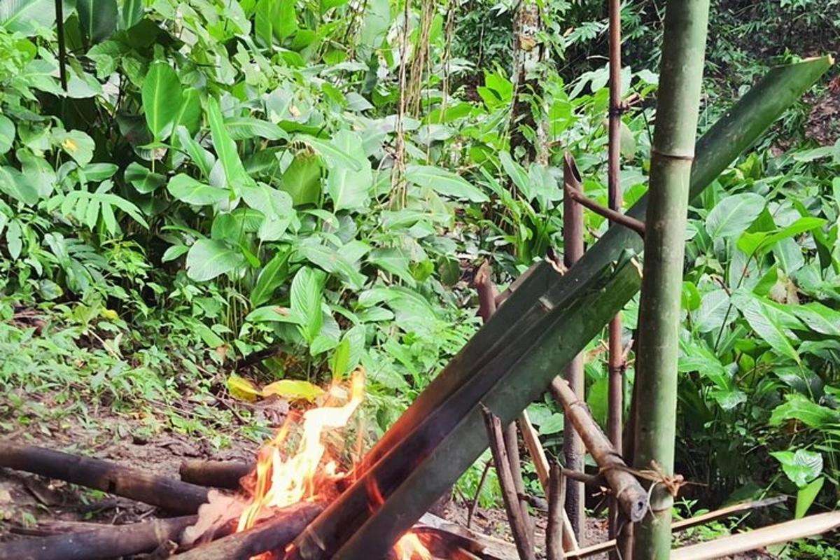 a fire pit in the woods with a fire