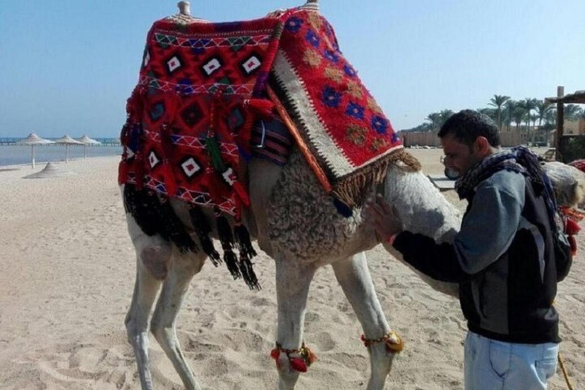 um homem em pé ao lado de um camelo na praia