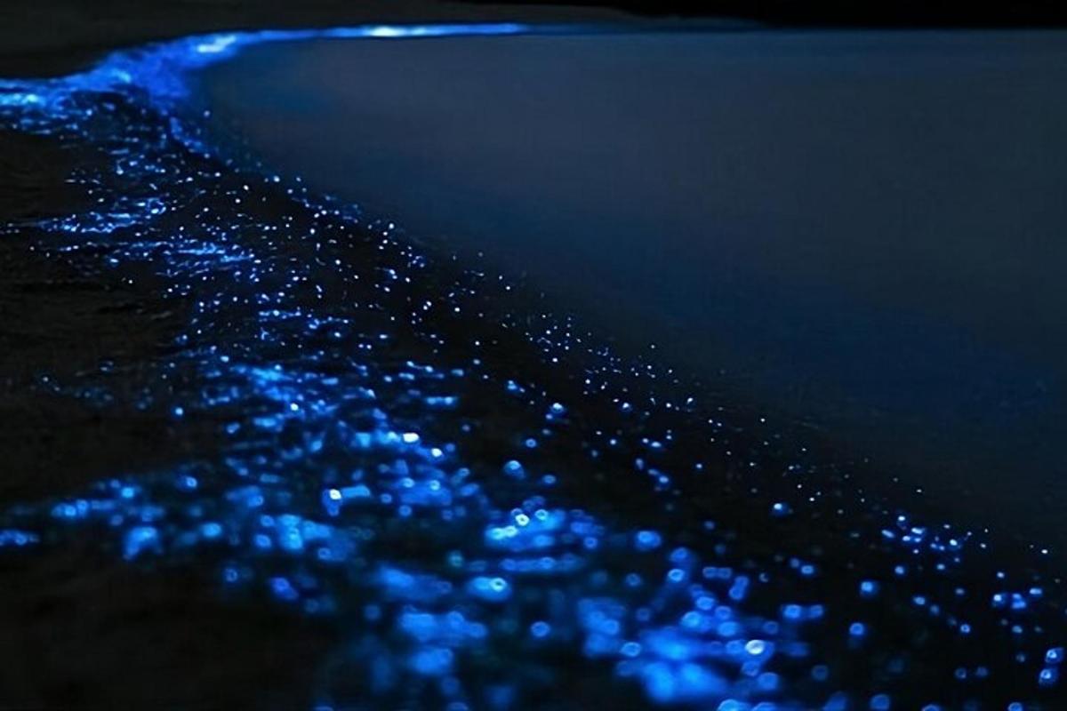 a group of blue lights in the water at night